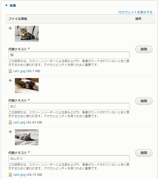 代替テキストが反映されたマルチ画像フィールド